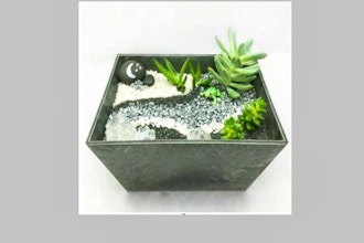 Plant Nite: Succulent Terrarium Modern Grayscale